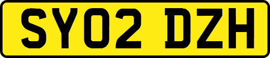 SY02DZH