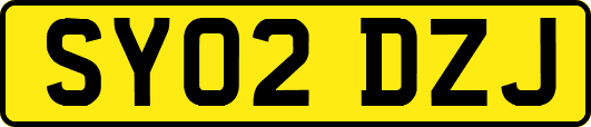 SY02DZJ