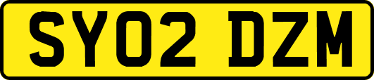 SY02DZM