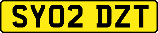 SY02DZT