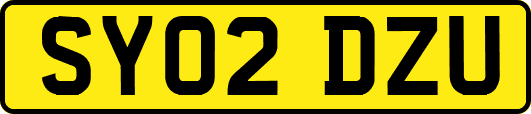 SY02DZU