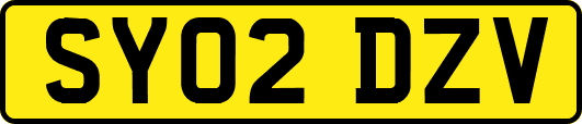 SY02DZV