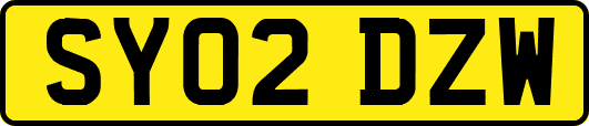 SY02DZW