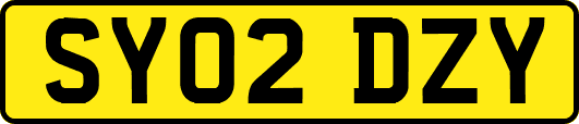 SY02DZY