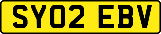 SY02EBV