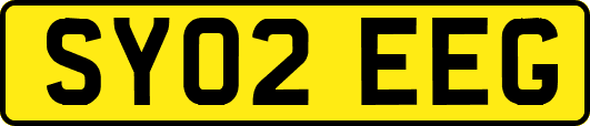 SY02EEG