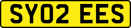 SY02EES
