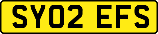 SY02EFS