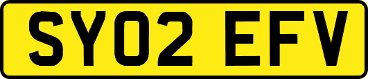 SY02EFV