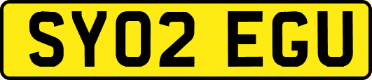 SY02EGU