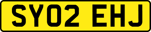 SY02EHJ