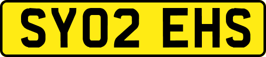 SY02EHS