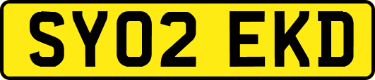 SY02EKD