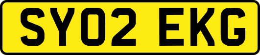 SY02EKG
