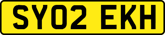 SY02EKH