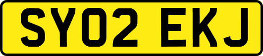 SY02EKJ
