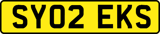 SY02EKS