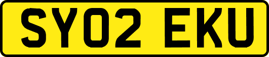 SY02EKU