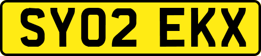 SY02EKX