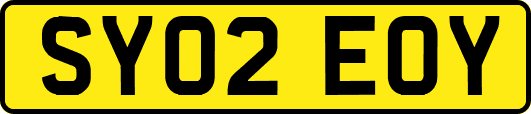 SY02EOY