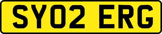 SY02ERG