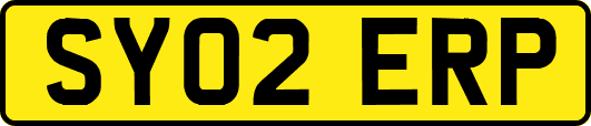 SY02ERP