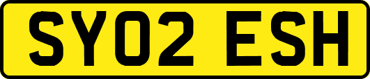 SY02ESH