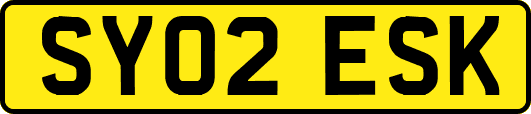 SY02ESK