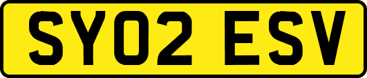 SY02ESV