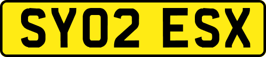 SY02ESX