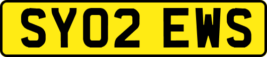SY02EWS