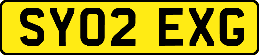 SY02EXG