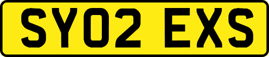 SY02EXS