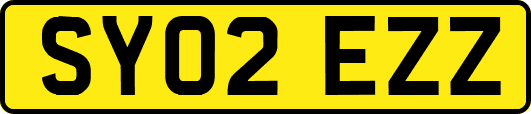 SY02EZZ
