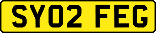 SY02FEG