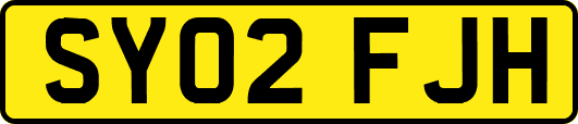 SY02FJH