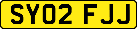 SY02FJJ