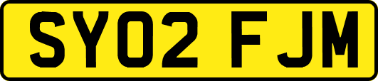 SY02FJM