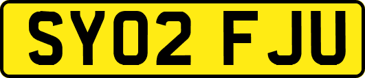 SY02FJU