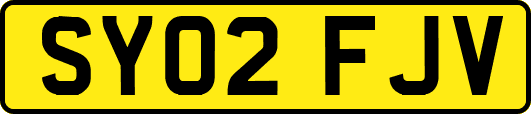 SY02FJV