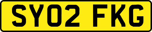 SY02FKG
