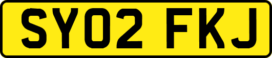 SY02FKJ