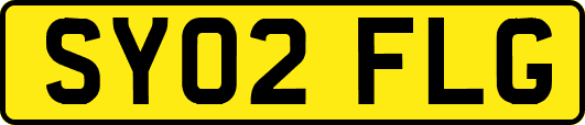 SY02FLG