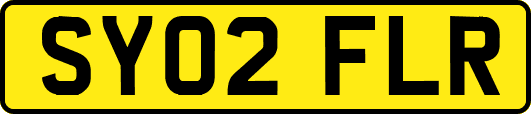SY02FLR