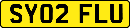 SY02FLU
