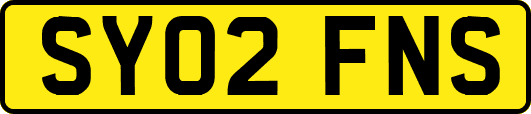 SY02FNS