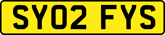 SY02FYS