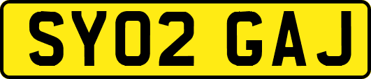 SY02GAJ