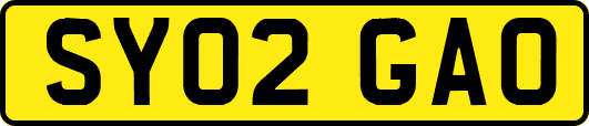 SY02GAO