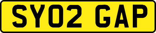 SY02GAP